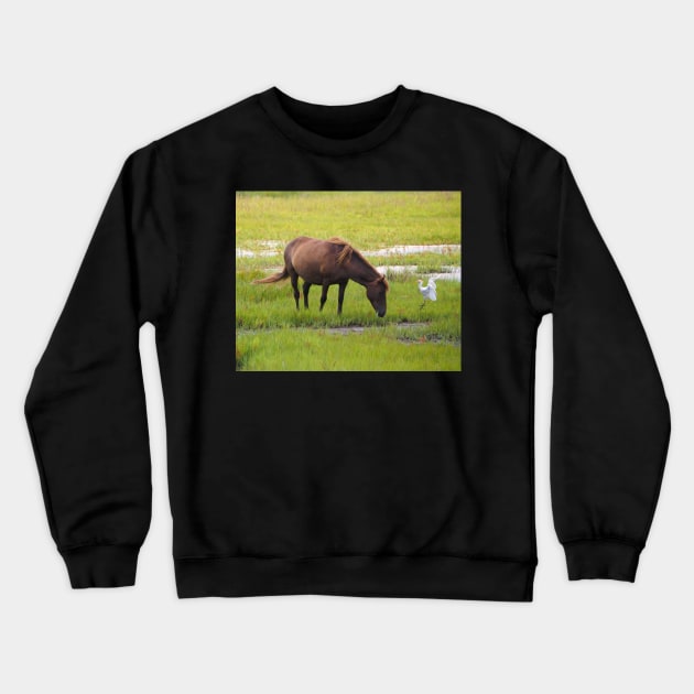 Assateague Pony and Cattle Egret in the Marsh Crewneck Sweatshirt by Swartwout